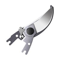 �A���X�@�����������p�֐n