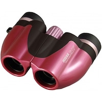 �~�U�[���e�b�N�@�o�ዾ�@�P�O�{�@�s���N�@�b�a�Q�P�O�o�o�j