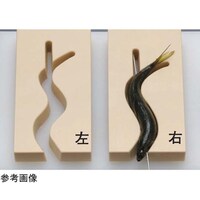 �V�̂܂Ȕ@�o�b�����ł���