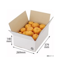 ���}�j�p�b�P�[�W�@�������ށ@�`�����S���@�R�O���@�d�d�R�O�R