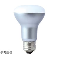 �������^���H�Ɓ@�k�d�c���t�����v�^