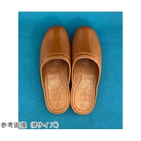 �A�Y�����@�R�ۃT���_��