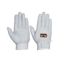 ���A�T�O���[�u�@���v��܁@��̕��A�e�t�i�z���C�g�j�r�r�@�b�X�R�P�v