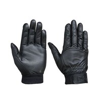 ���A�T�O���[�u�@���v��܁@��̕��A�e���i�u���b�N�j�l�@�b�Q�P�O�a�j