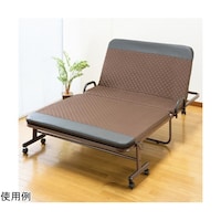 ファミリー・ライフ 収納式リクライニングベッド