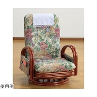 �t�@�~���[�E���C�t�@�V�R�ك��N���C�j���O�n�C�o�b�N��]���֎q���[�^�C�v�@�i�T�C�h�|�P�b�g�t���j�@�O�S�P�U�U