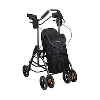 �K�a���쏊�@�O�r�x���i�n���^�j���s�ԁ@�e�C�R�u���g���{���x�e�@�v�`�v�P�V