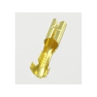 ��葍�Ɓ@�M�{�V�[�q�i���X�E�����j�@�x�O�Q