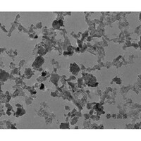 �A�Y�����@�_�������u�f���i�m���q�h�o�`���U�@�P�O�O���k