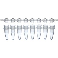 ���Ȍ��@�O�D�Q���k�@�o�b�q�W�A�`���[�u�{�h�[���L���b�v�@�P���i�P�Q�O�X�g���b�v���j�@�k�s�o�b�q�W�c