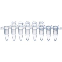 ���Ȍ��@�W�A�o�b�q�`���[�u�@�t���b�g�L���b�v��̌^�@�P���i�P�Q�O�X�g���b�v���j�@�k�s�o�b�q�W�v�e