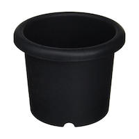 �A�C�J�R�E�M���E�@�e���@�u���b�N