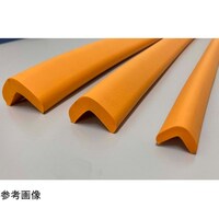 �A���I�@�k�^�N�b�V�����@�l�@�`�q�O�W�S�V