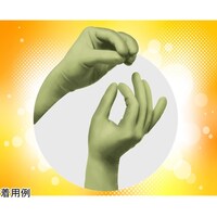 �i�����W���p���@�t�����q�����P�O���h��O���[�u�@���e�b�N�X�@�r�g�d�d�q�i�����^�j�@�V�D�O�@�T�o��