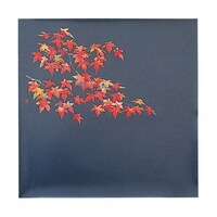 ���}�R�[�@�l�G�N���A�V�[�g