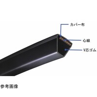 �O�c���x���g�@�O�c���x���g�@�u�x���g�@�j�`�@�q�j�T�V