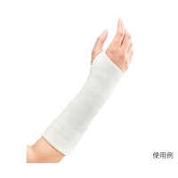 ���{�V�O�}�b�N�X�@�j�[���L���X�g�e