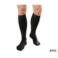 ��{�Y�Ɓ@�e���X�g�b�L���O�@�W���u�X�g�@�t�H�[����