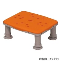 �p�i�\�j�b�N�G�C�W�t���[�@������@���N���A�@�`�����@�o�m�k�P�P�P�Q�O�a�q