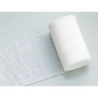 ���{�V�O�}�b�N�X�@�G���z���C�g�r�@�Q���@�T�O�P�Q�O�Q�i�T�D�O�b�l�w�X�l�j�P�O�J��