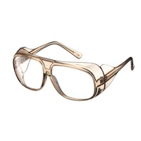 �R�{���w�@�ی�߂��ˁi���`�j�@�x�r�P�W�O�i�o�d�s�[�`�e�j�u���E��