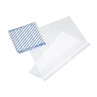 �A�g�����f�B�J���@�l�I�V�[�c�i�ŋۍσf�B�X�|�V�[�c�j�@�Q�P�O�O�Q�i�P�O�O�w�V�T�b�l�j�P�O�O�}�C