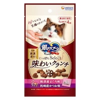 ���j�E�`���[���@��X�v����N�����`