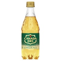 カナダドライ ジンジャーエール