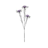 �j���[�z���R�����ԁ@���ԁ@�J�[�l�[�V�����X�v���[�@���x���_�[