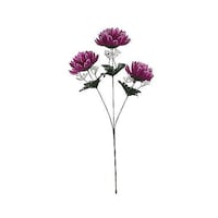 �j���[�z���R�����ԁ@���ԁ@�T���c�L�L�N�@��@�p�[�v��