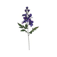 �j���[�z���R�����ԁ@���ԁ@�f���t�B�j�E���X�v���[�@���C���b�N