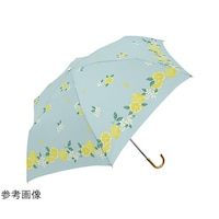 �~�N�j�@�l�j�m�@�V���o�[�R�[�e�B���O�J�����p�@�T�T�����ϕ��y�~�j�P�@�V�g�����@���C�g�u���[�@�r�Q�V�P�P�W�V�P