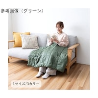 イケヒコ 寝具 ひざ掛け・ブランケット 『クラウド』 約70×100cm