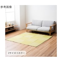 �C�P�q�R�@���t�e��