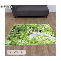 �C�P�q�R�@�~���@���O�E�J�[�y�b�g�@�w�t�H���X�g�J�o�[�x�@�@��T�O�~�P�O�T�����@�P�Q�W�O�V�R�O�O�P�Q�O�O�R�@