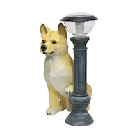 �~���O�`��́@�\�[���[���C�g�t�Č��^���[�@�k�U�V�T