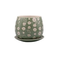 �f���L�@�A�ؔ��@�|�[���b�V���|�b�g�@�a�^�C�v�@�O���[��