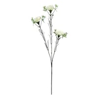 �j���[�z���R�����ԁ@���ԁ@�J�[�l�[�V�����X�v���[�@�z���C�g�@���x���_�[�@�s���N�@�z���C�g�@���W�ȏォ�璍���\�i�̔����i�͂P�P�ʂ̉��i�j