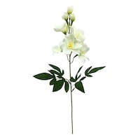 �j���[�z���R�����ԁ@���ԁ@�f���t�B�j�E���X�v���[�@�z���C�g�@���C���b�N�@�z���C�g�@���W�ȏォ�璍���\�i�̔����i�͂P�P�ʂ̉��i�j