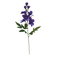 �j���[�z���R�����ԁ@���ԁ@�f���t�B�j�E���X�v���[�@�z���C�g�@���C���b�N�@���C���b�N�@���W�ȏォ�璍���\�i�̔����i�͂P�P�ʂ̉��i�j