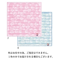 ���L�^�I���n���J�`�@�F���݂P�O�O����