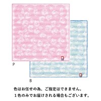 ���L�^�I���n���J�`�@�F���݂Q�O����