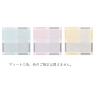 小さめタオルハンカチ 色込み20枚入