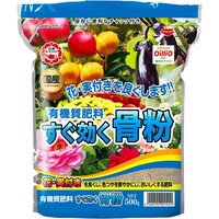 ���������@�������������@�T�O�O���@�엿�@�����T��