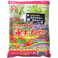 ���������@�i�����엿�@�T�O�O���@�엿�@�ϗt�A���p