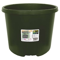 ���S���Ɓ@�`�y�|�b�g�@�T�Q�O�^�@�J�[�L�@�A�ؔ��@�v���X�`�b�N