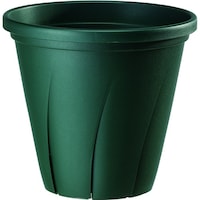 ���͂蔫�@�R���@�c�f�@�A�ؔ��@��