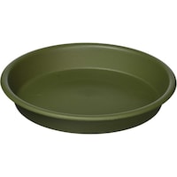 �O���E�v���[�g�@�P�Q�^�@�f�@�A�ؔ��@��M