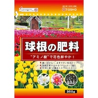 �����@�V�E�����̔엿�@�R�T�O���@�엿�@����