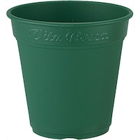 �A�b�v���E�F�A�[�@���[�A�|�b�g�@�R�W�O�^�@�O���[���@�A�ؔ��@�v���X�`�b�N